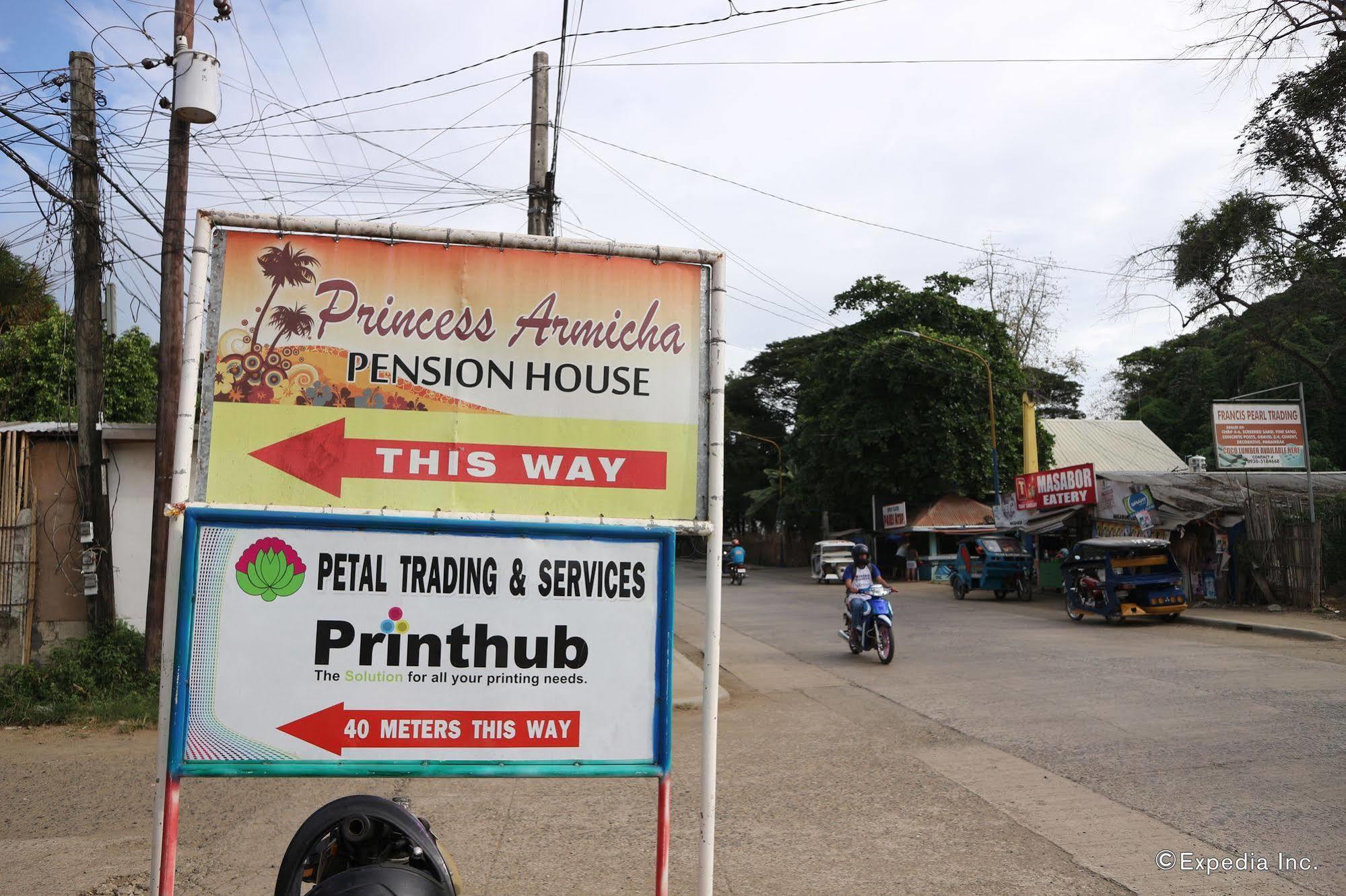 Princess Armicha Tourist Inn Puerto Princesa Luaran gambar